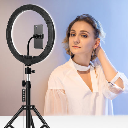 SelfiePlanner 13'' RGB Ring Light with 50'' Extendable Tripod Stand